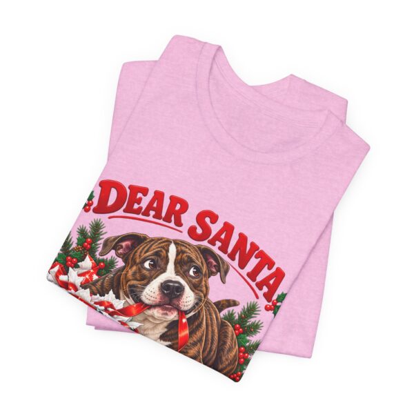 T-Shirt — "Dear Santa Define Good" Christmas Pitty Tee