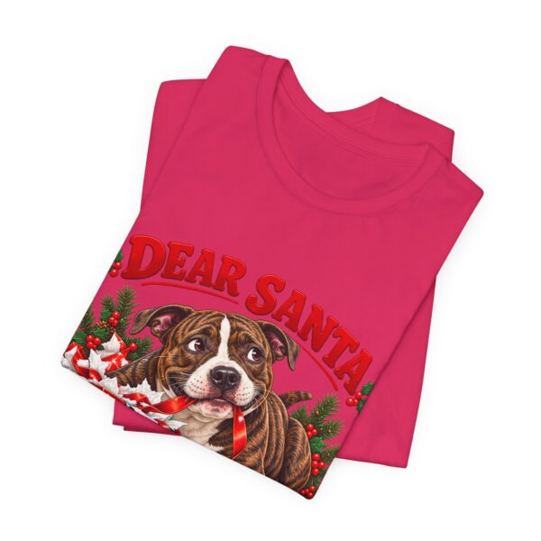 T-Shirt — "Dear Santa Define Good" Christmas Pitty Tee