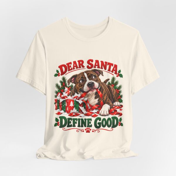T-Shirt — "Dear Santa Define Good" Christmas Pitty Tee