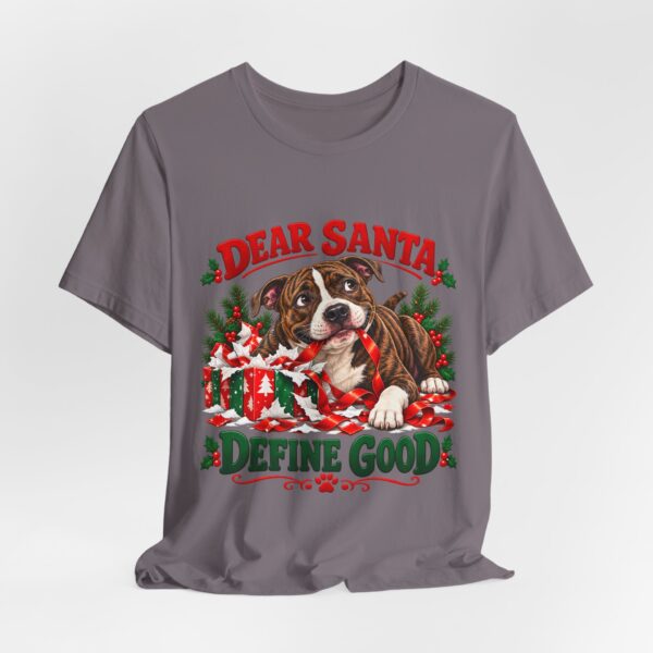 T-Shirt — "Dear Santa Define Good" Christmas Pitty Tee