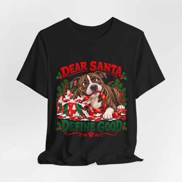 T-Shirt — "Dear Santa Define Good" Christmas Pitty Tee