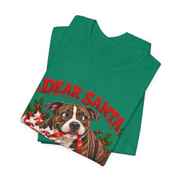 T-Shirt — "Dear Santa Define Good" Christmas Pitty Tee