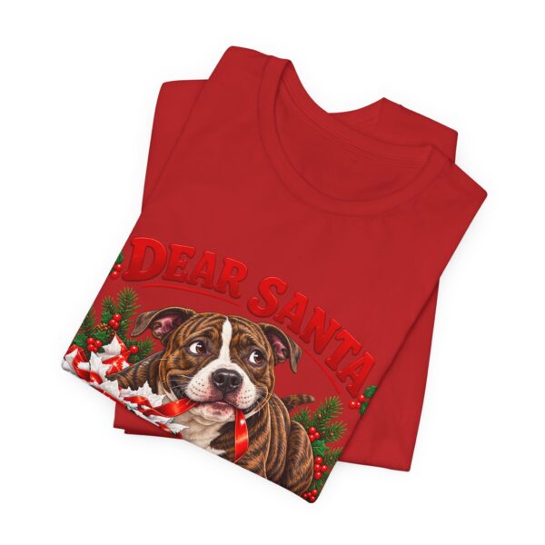 T-Shirt — "Dear Santa Define Good" Christmas Pitty Tee