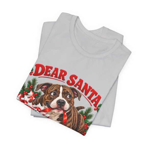 T-Shirt — "Dear Santa Define Good" Christmas Pitty Tee