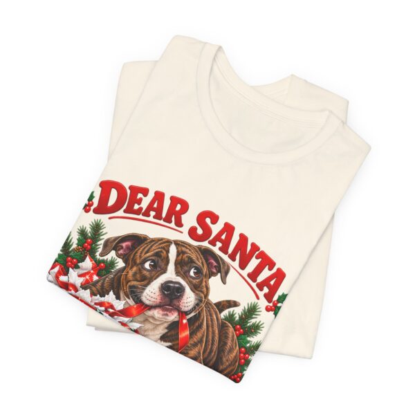 T-Shirt — "Dear Santa Define Good" Christmas Pitty Tee