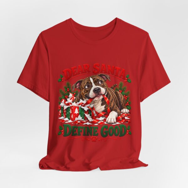 T-Shirt — "Dear Santa Define Good" Christmas Pitty Tee