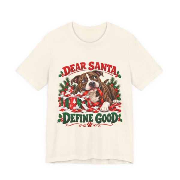 T-Shirt — "Dear Santa Define Good" Christmas Pitty Tee